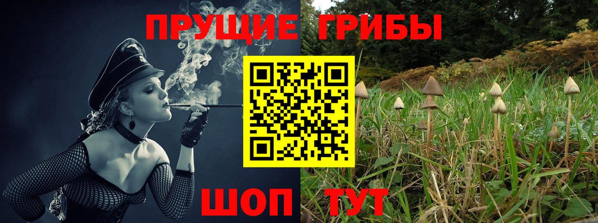 Галлюциногенные грибы Psilocybine cubensis Баксан