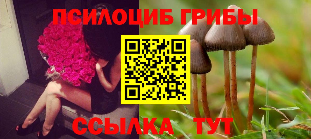 Галлюциногенные грибы Psilocybine cubensis  Вход с VPN  Баксан 